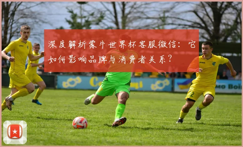 深度解析蒙牛世界杯客服微信：它如何影响品牌与消费者关系？
