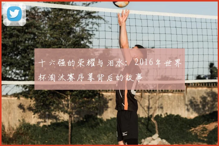 十六强的荣耀与泪水：2016年世界杯淘汰赛序幕背后的故事