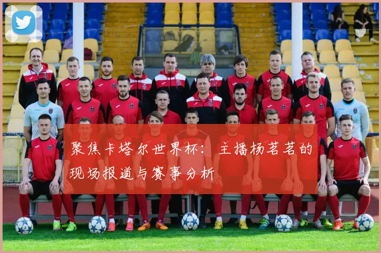 聚焦卡塔尔世界杯：主播杨茗茗的现场报道与赛事分析