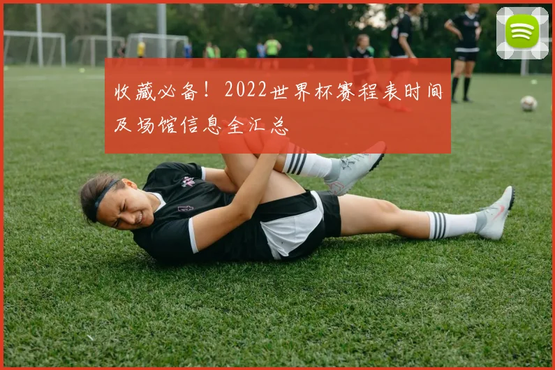 收藏必备!2022世界杯赛程表时间及场馆信息全汇总